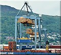 J3678 : Container crane, Belfast harbour (June 2015) by Albert Bridge