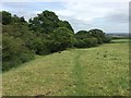 SJ8148 : Alsagers Bank: field path beyond Watermills Farm by Jonathan Hutchins