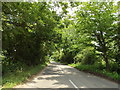 TM1381 : Woolsey Bridge on Burston Road by Geographer