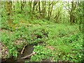 SH6541 : Stream in Coed Llyn Mair by Christine Johnstone