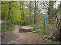 SS8086 : The start of a cycle path, Margam Country Park (2) by eswales