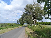  : Lane near to Gaylors Farm by Bikeboy