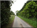 TM0883 : Common Road, Bressingham Common by Geographer