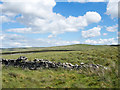 NY7543 : Grassy moorland beyond ruined wall by Trevor Littlewood