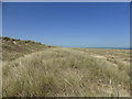 TG4920 : Embryo dunes, foredunes and yellow dunes - Winterton by ruth e