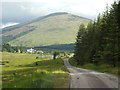 NN2940 : Narrow lane near Bridge of Orchy by Malc McDonald