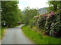 NM9080 : Minor road at Glenfinnan by Malc McDonald