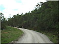 NM9180 : Track near Glenfinnan by Malc McDonald