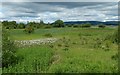 NS4665 : Paisley Moss Local Nature Reserve by Lairich Rig