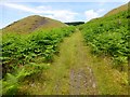 SO0401 : Spoil Heap Beside Footpath by Rude Health 