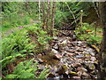 NN1862 : Woodland stream near Kinlochmore by Malc McDonald