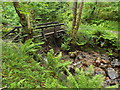 NN1862 : Bridge over a woodland stream near Kinlochmore by Malc McDonald