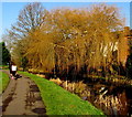 ST3090 : Joggers on a canal path, Newport by Jaggery