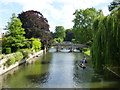 TL4458 : Punting on The River Cam near Clare Bridge by Sandra Humphrey