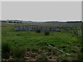 NU1307 : Sheep pens west of Stirkhill Plantation by Graham Robson