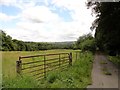 NZ1544 : View along the lane leading to Greenwell by Robert Graham