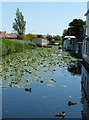 SU8201 : Final yards of the Chichester Ship Canal by Rob Farrow