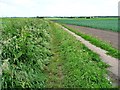 SD4513 : Public footpath heading north-west, Burscough Moss by Christine Johnstone