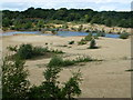 TL0698 : Former quarry near Yarwell by Richard Humphrey