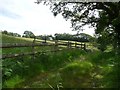 SN6588 : Entrance to sheep pasture, north of Llettyllwyd by Christine Johnstone