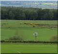 NN9419 : Wind pump, Madderty by Richard Webb