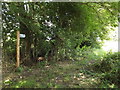 TM1269 : Water Lane footpath to Thwaite Road (set of 3 images) by Geographer