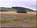 NO4021 : A SW view from the minor road to Ardlogie House by Stanley Howe