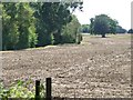 TM1365 : Stubble field, south of the railway line by Christine Johnstone