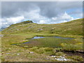 NN5425 : Reedy pool on Creag Mac Rànaich by Alan O'Dowd