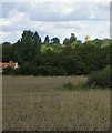 TM1876 : Hoxne: view towards the village from St Edmund's monument by Christopher Hilton