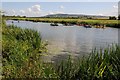 SO9035 : Canoeist on the River Avon by Philip Halling