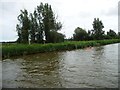 TM5094 : Canoeist hugging the east bank of Oulton Dyke by Christine Johnstone