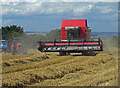 SE9918 : Harvesting near Horkstow by David Wright