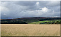 NZ0421 : Field of grass on north side of B6279 by Trevor Littlewood