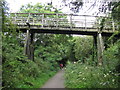 NY0230 : Timber Footbridge over a Disused Railway by Andrew Tryon