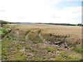 NU2029 : Arable field north of Swinhoe by Graham Robson