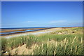 SJ0884 : Gronant Dunes Nature Reserve by Jeff Buck