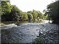 SN3040 : Teifi rapid below Newcastle Emlyn Bridge by Dylan Moore