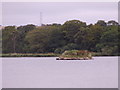 NJ7807 : Tern Islet on Loch of Skene by Stanley Howe