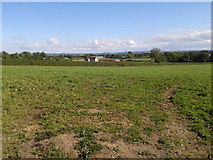  : Fields at Withial Farm by Rob Purvis