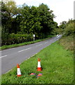 SO6032 : B4224 traffic cones and speed limit signs in rural south Herefordshire by Jaggery