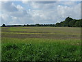 TM0676 : Stubble field west of Bugg's Road by JThomas