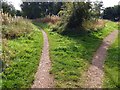 SK6457 : Junction on the Southwell Trail at Farnsfield by Steve  Fareham