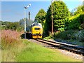 SD8021 : East Lancashire Railway: 37418 at Townsend Fold by David Dixon