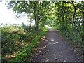 SK6556 : Southwell Trail near Farnsfield by Steve  Fareham