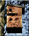 SD1399 : Squirrel Nest Box by Peter Trimming