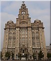 SJ3390 : Royal Liver Building, Liverpool by Oliver Mills