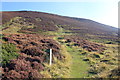 SJ1660 : Offa's Dyke Path at Bwlch Penbarras by Jeff Buck