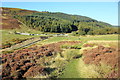 SJ1660 : Offa's Dyke Path at Bwlch Penbarras by Jeff Buck