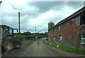 SJ7648 : Cows crossing Knowlbank Road at Fields Farm by Jonathan Hutchins